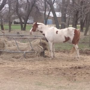 Meet your Posher, William